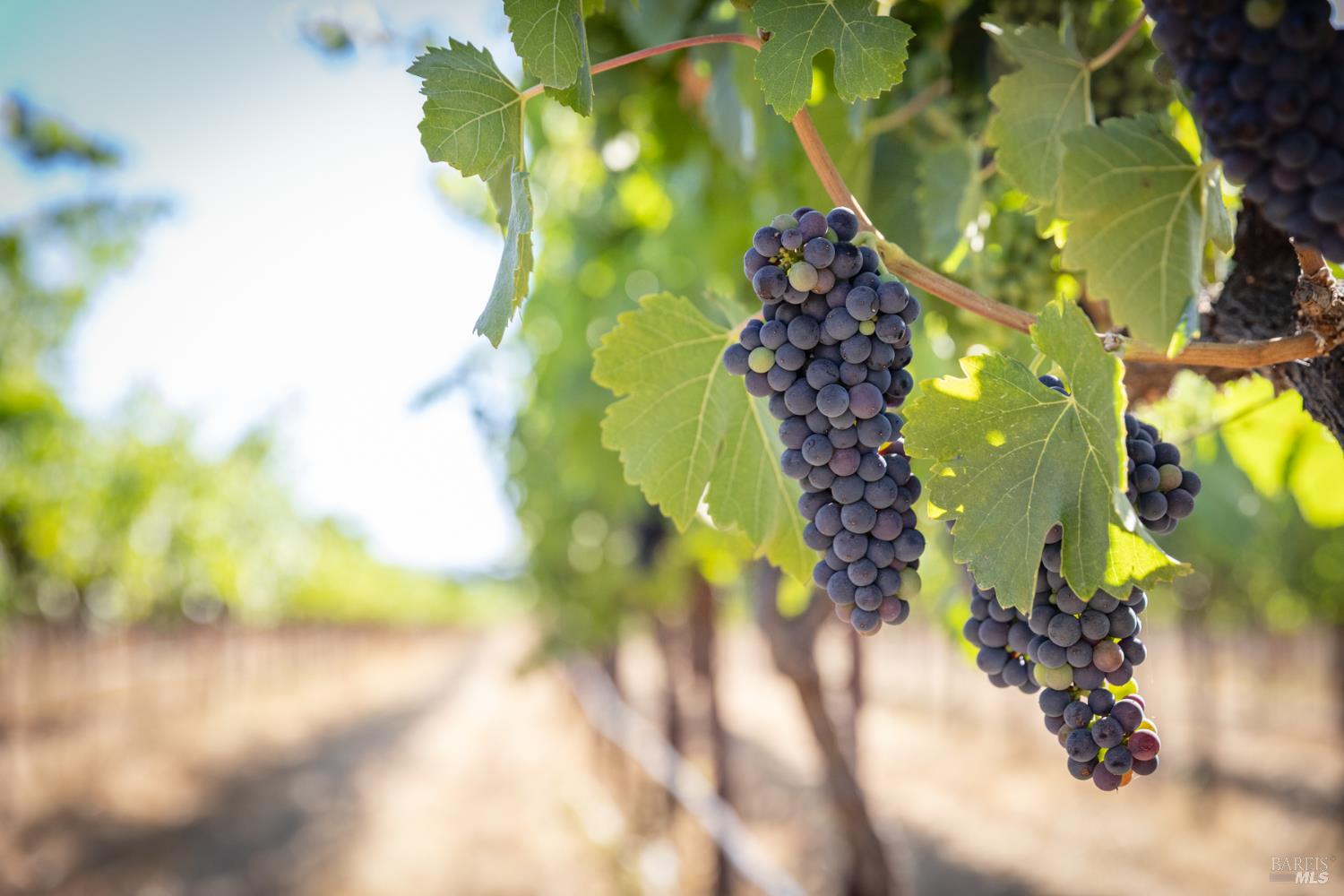 3091 Big Ranch Road Napa CA 94558