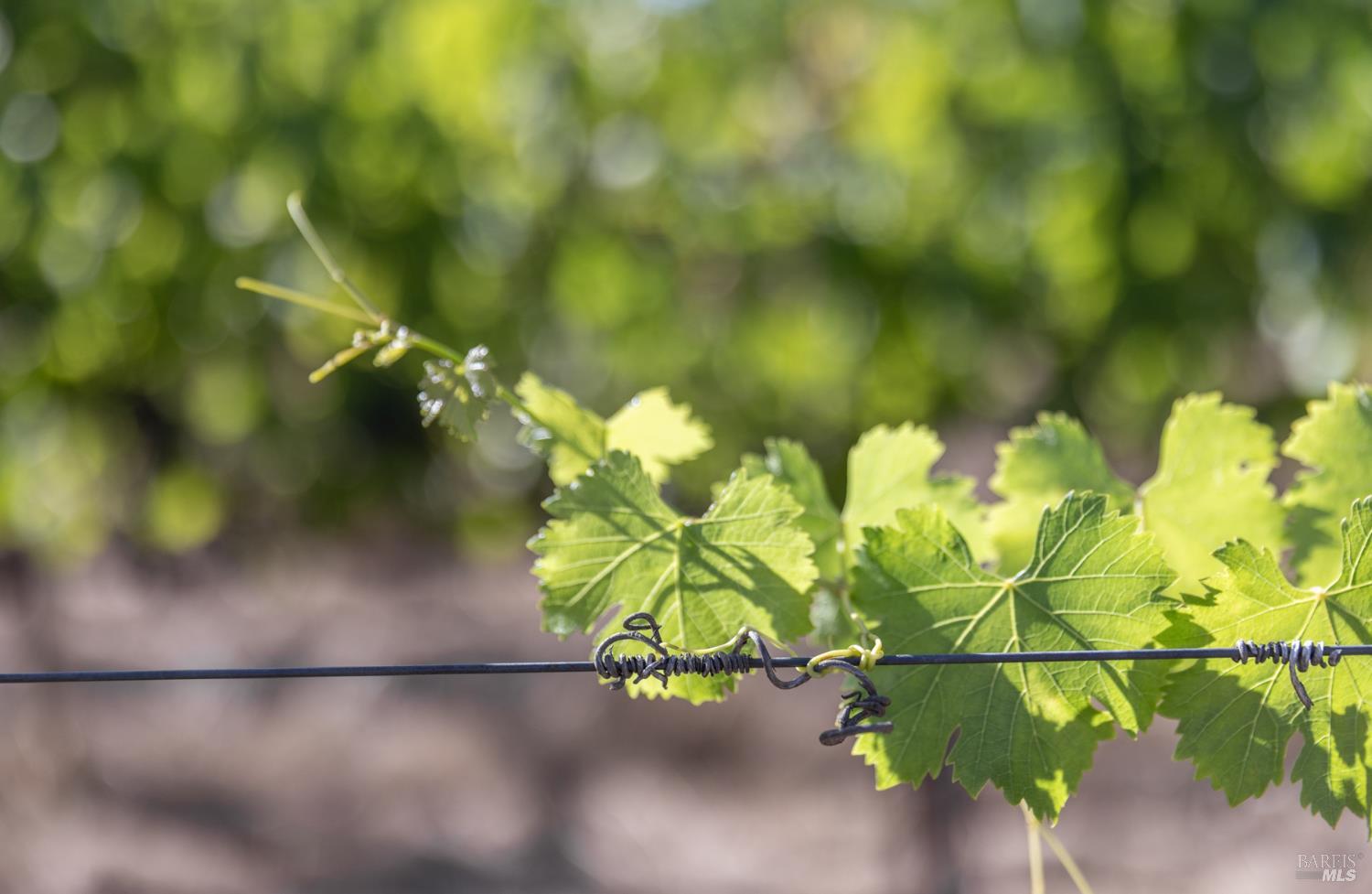 3091 Big Ranch Road Napa CA 94558