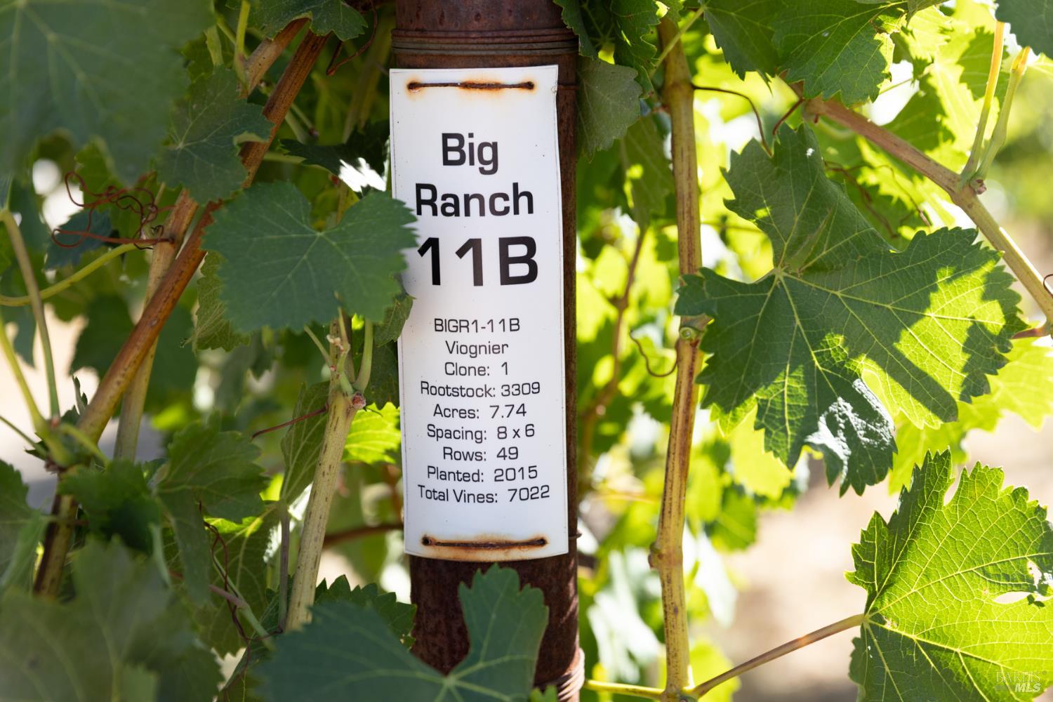 3091 Big Ranch Road Napa CA 94558