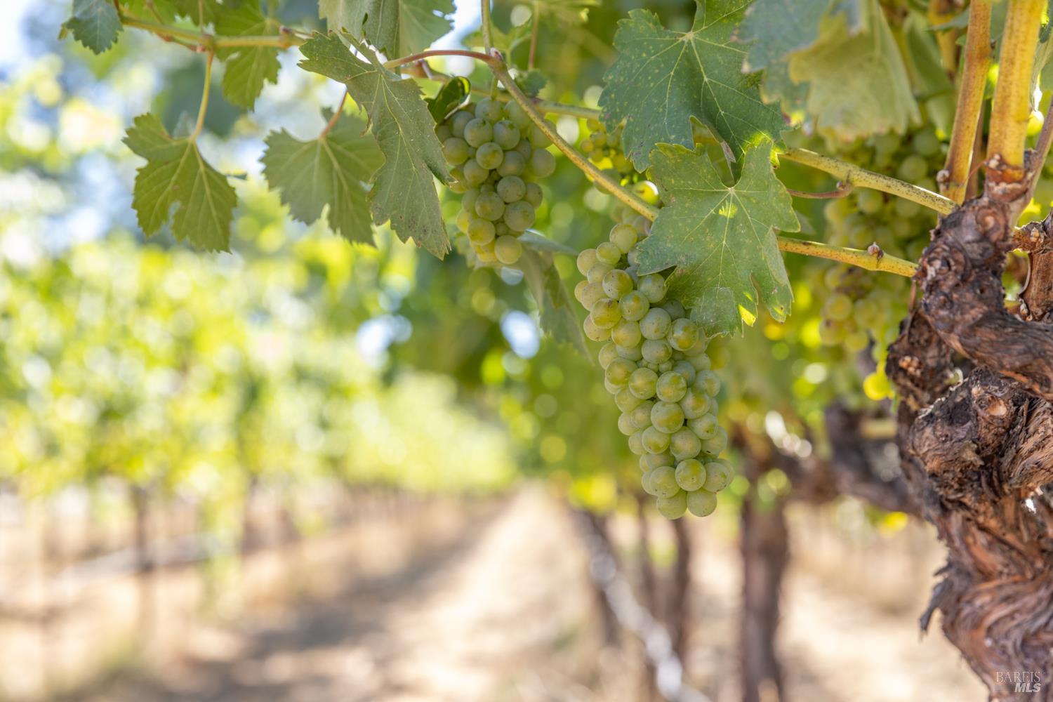 3091 Big Ranch Road Napa CA 94558