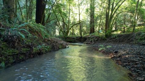 1490 Felta Road Healdsburg CA 95448