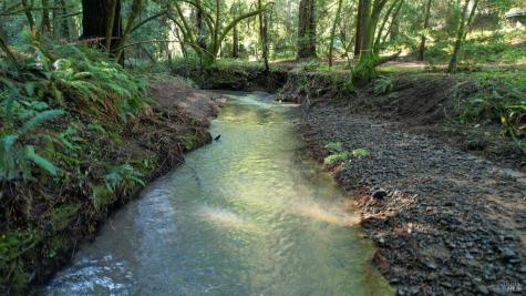 1490 Felta Road Healdsburg CA 95448