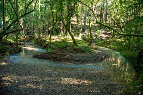 1490 Felta Road Healdsburg CA 95448