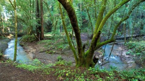 1490 Felta Road Healdsburg CA 95448