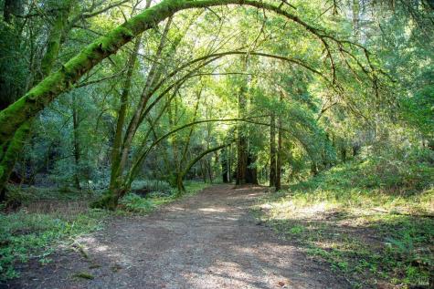 1490 Felta Road Healdsburg CA 95448