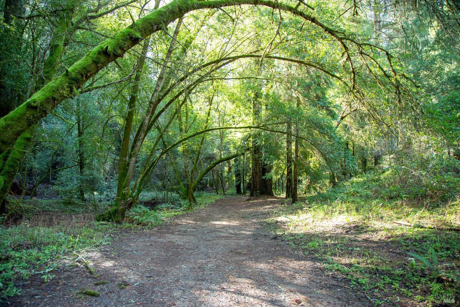 1490 Felta Road Healdsburg CA 95448