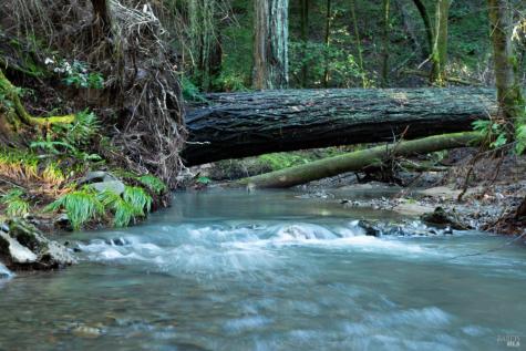 1490 Felta Road Healdsburg CA 95448