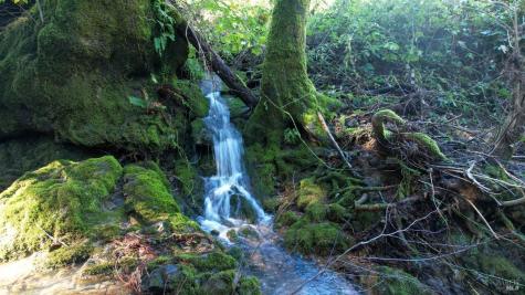 1490 Felta Road Healdsburg CA 95448