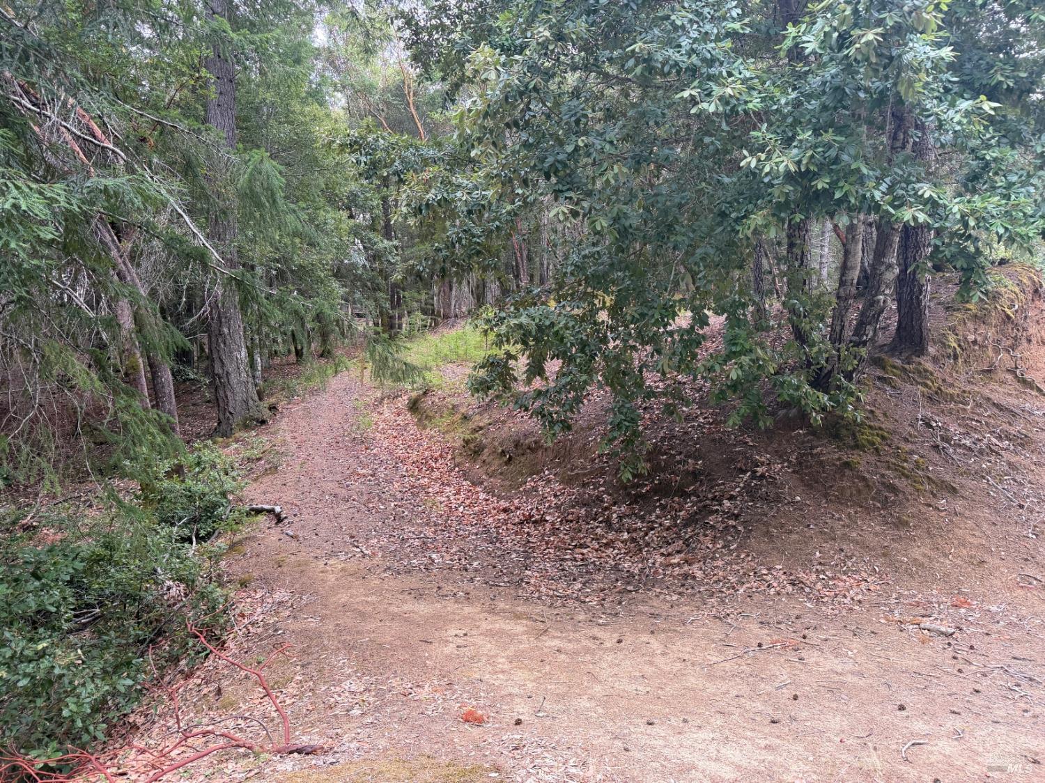 1931 Buckeye Drive Willits CA 95490