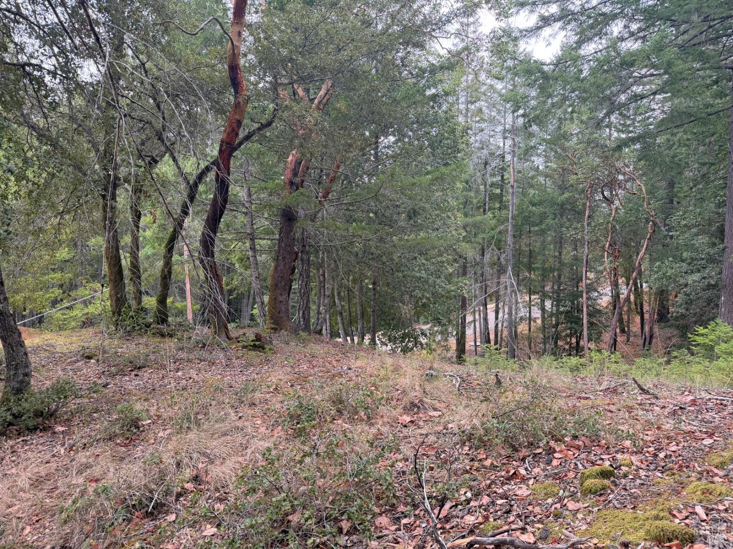 1931 Buckeye Drive Willits CA 95490