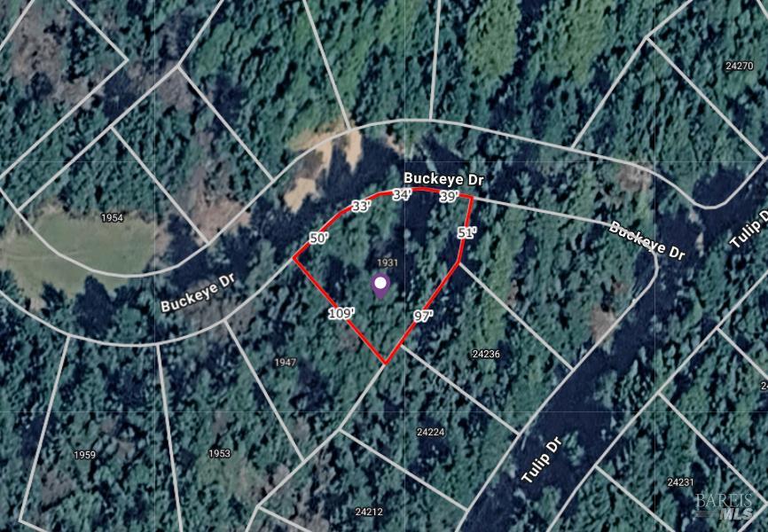 1931 Buckeye Drive Willits CA 95490