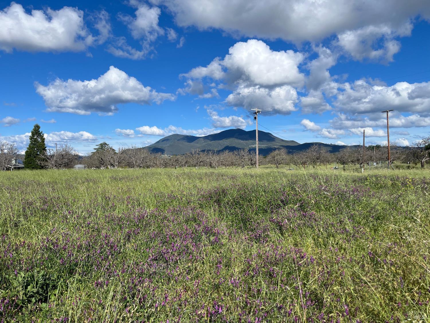 2160 Bell Hill Road Kelseyville CA 95451