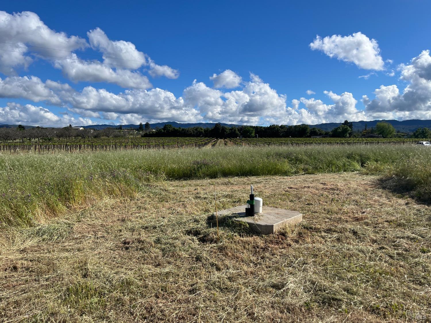 2160 Bell Hill Road Kelseyville CA 95451