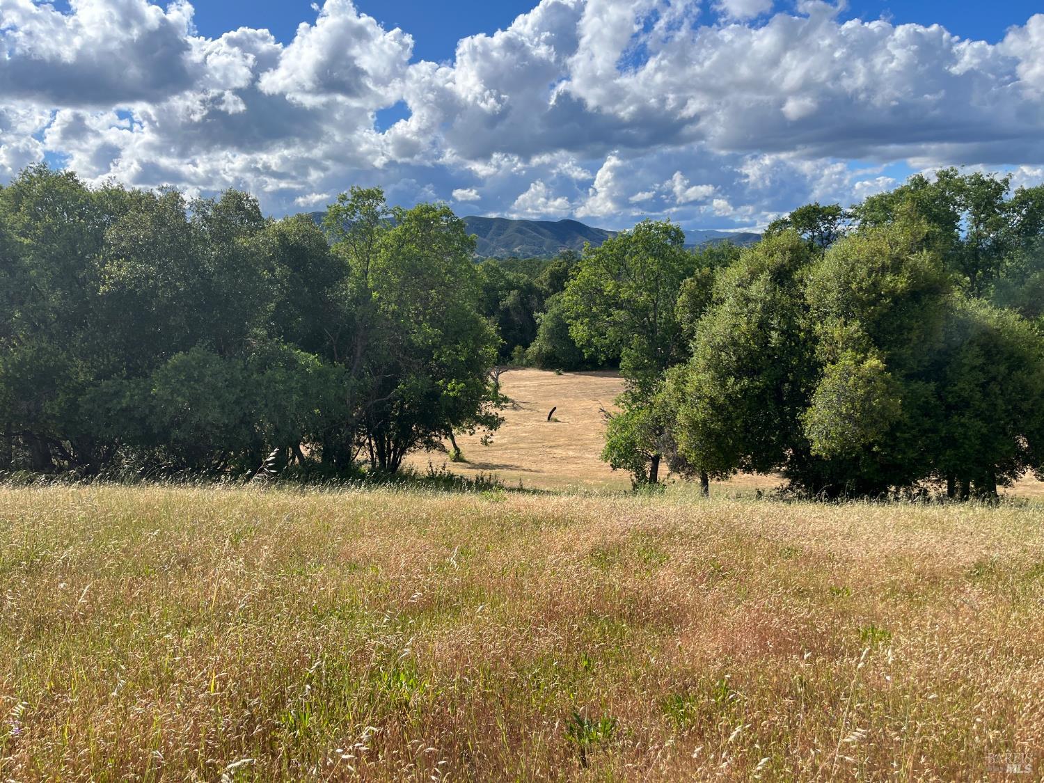 2160 Bell Hill Road Kelseyville CA 95451