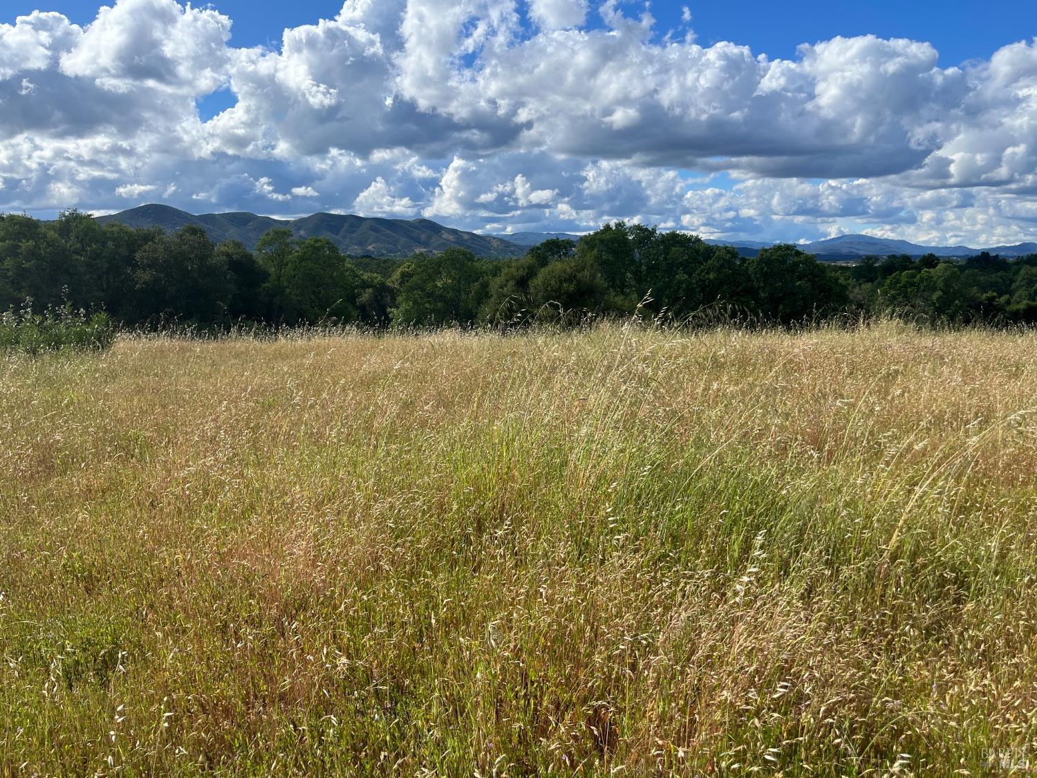 2160 Bell Hill Road Kelseyville CA 95451