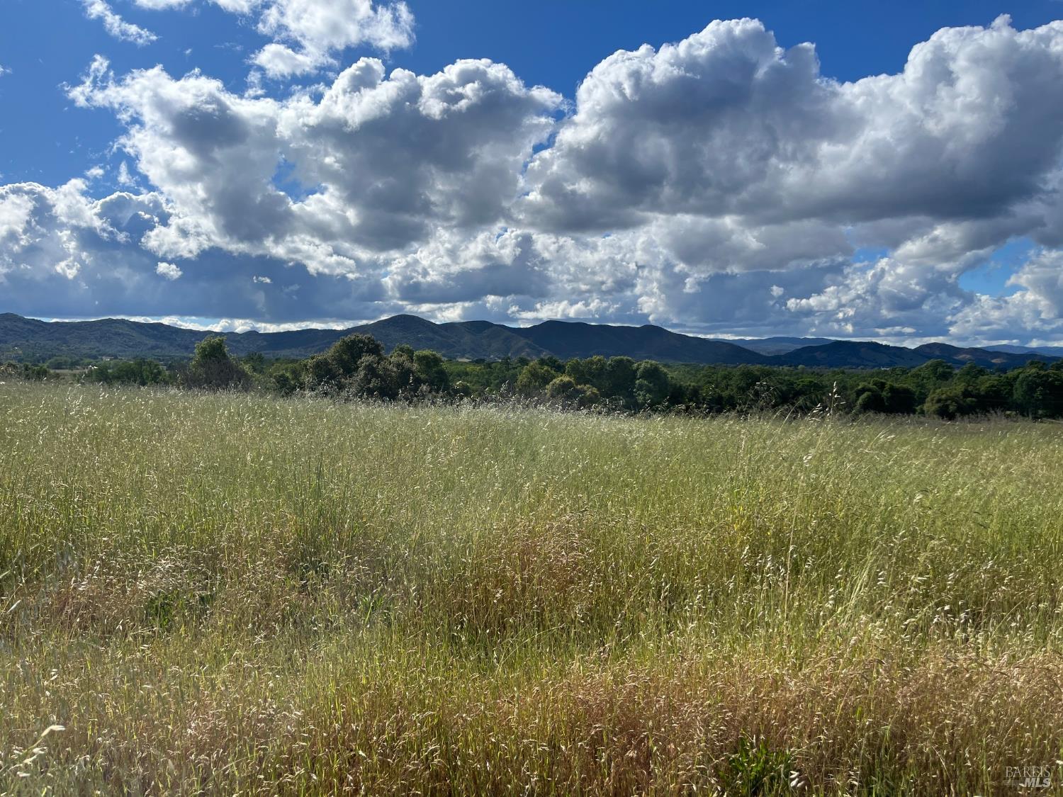 2160 Bell Hill Road Kelseyville CA 95451