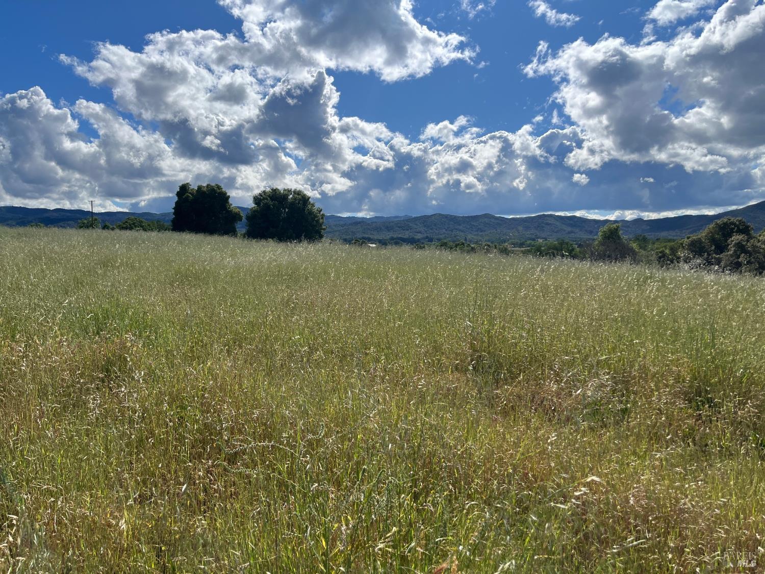 2160 Bell Hill Road Kelseyville CA 95451