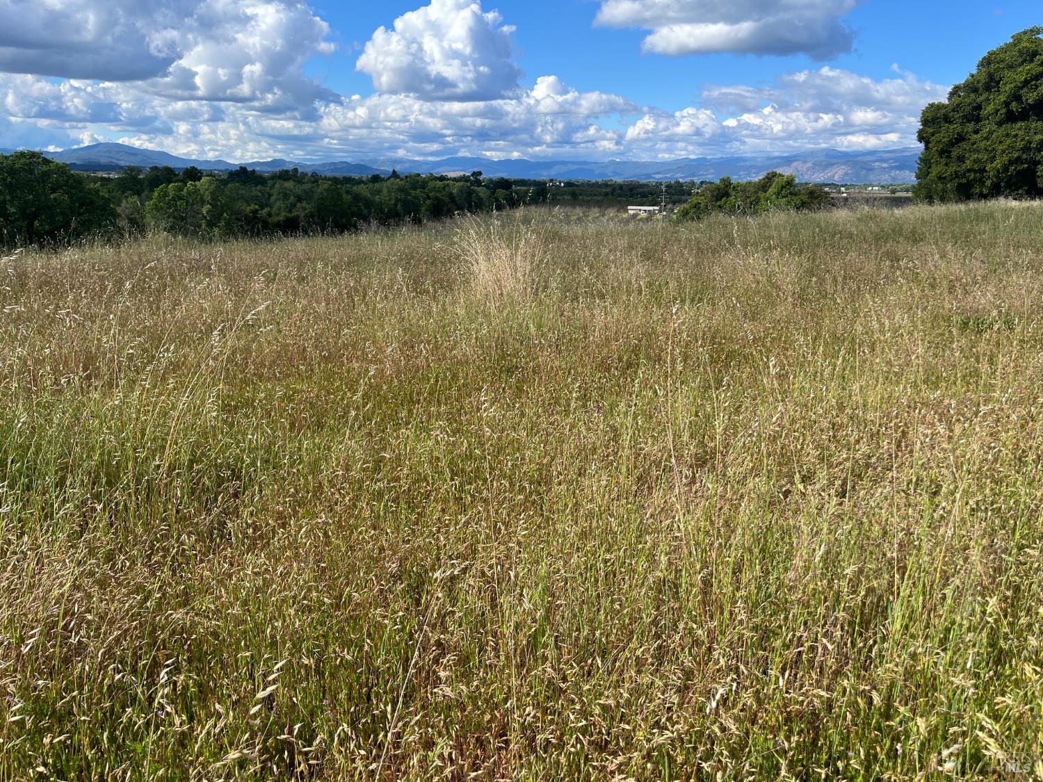 2160 Bell Hill Road Kelseyville CA 95451