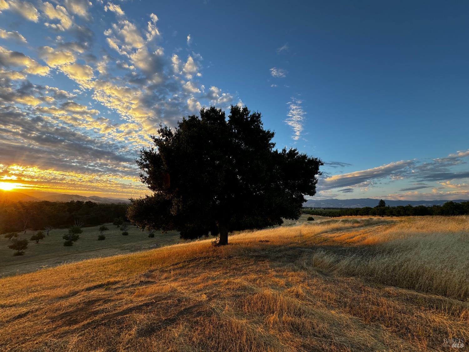 2160 Bell Hill Road Kelseyville CA 95451