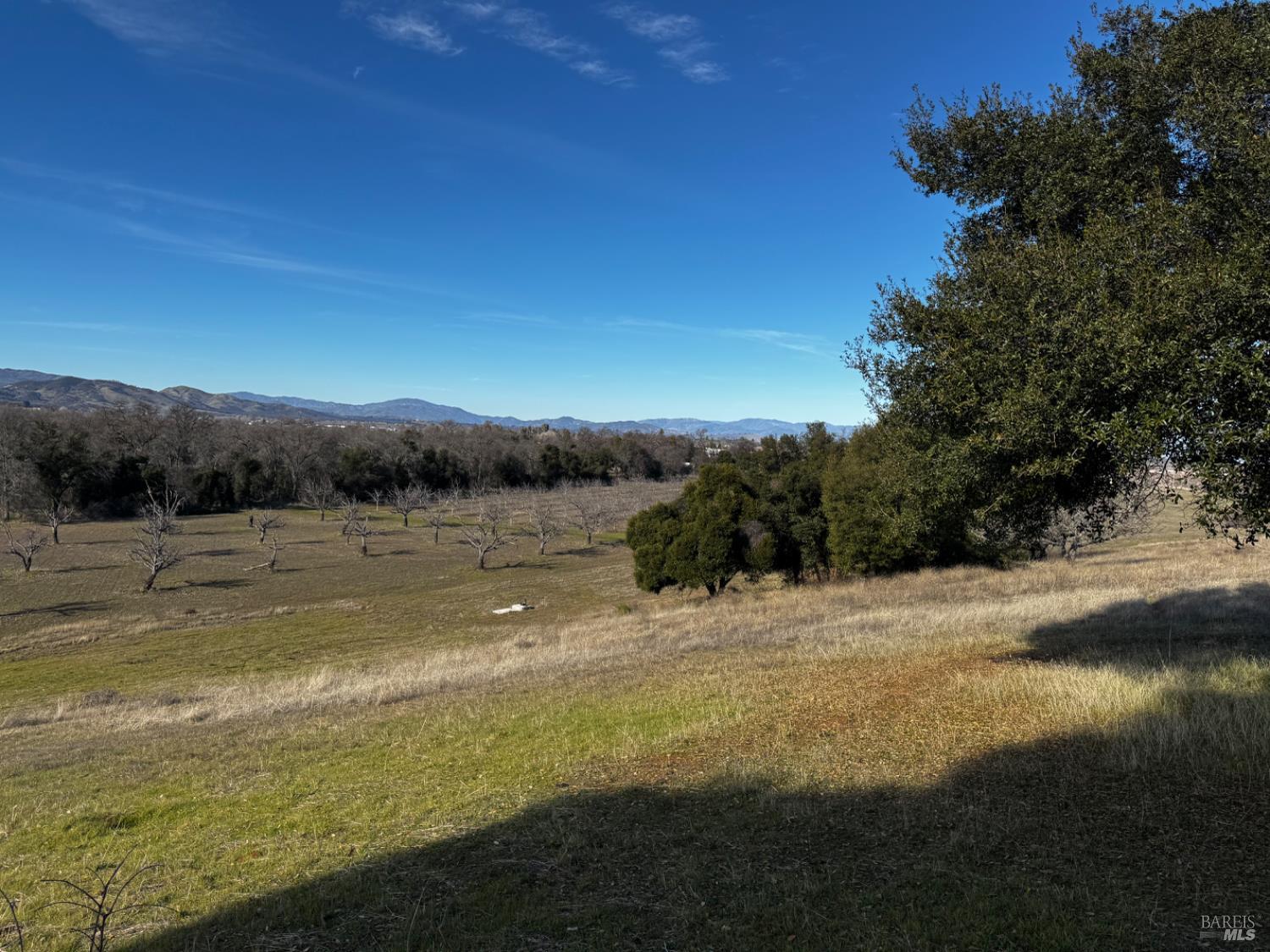 2160 Bell Hill Road Kelseyville CA 95451