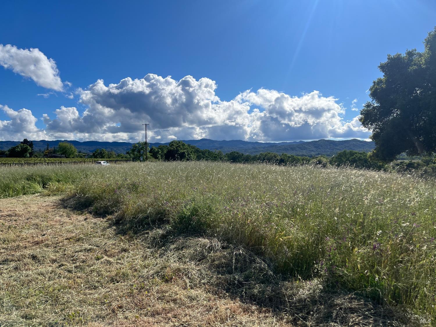 2160 Bell Hill Road Kelseyville CA 95451
