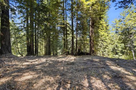17554 Woods Avenue Guerneville CA 95446