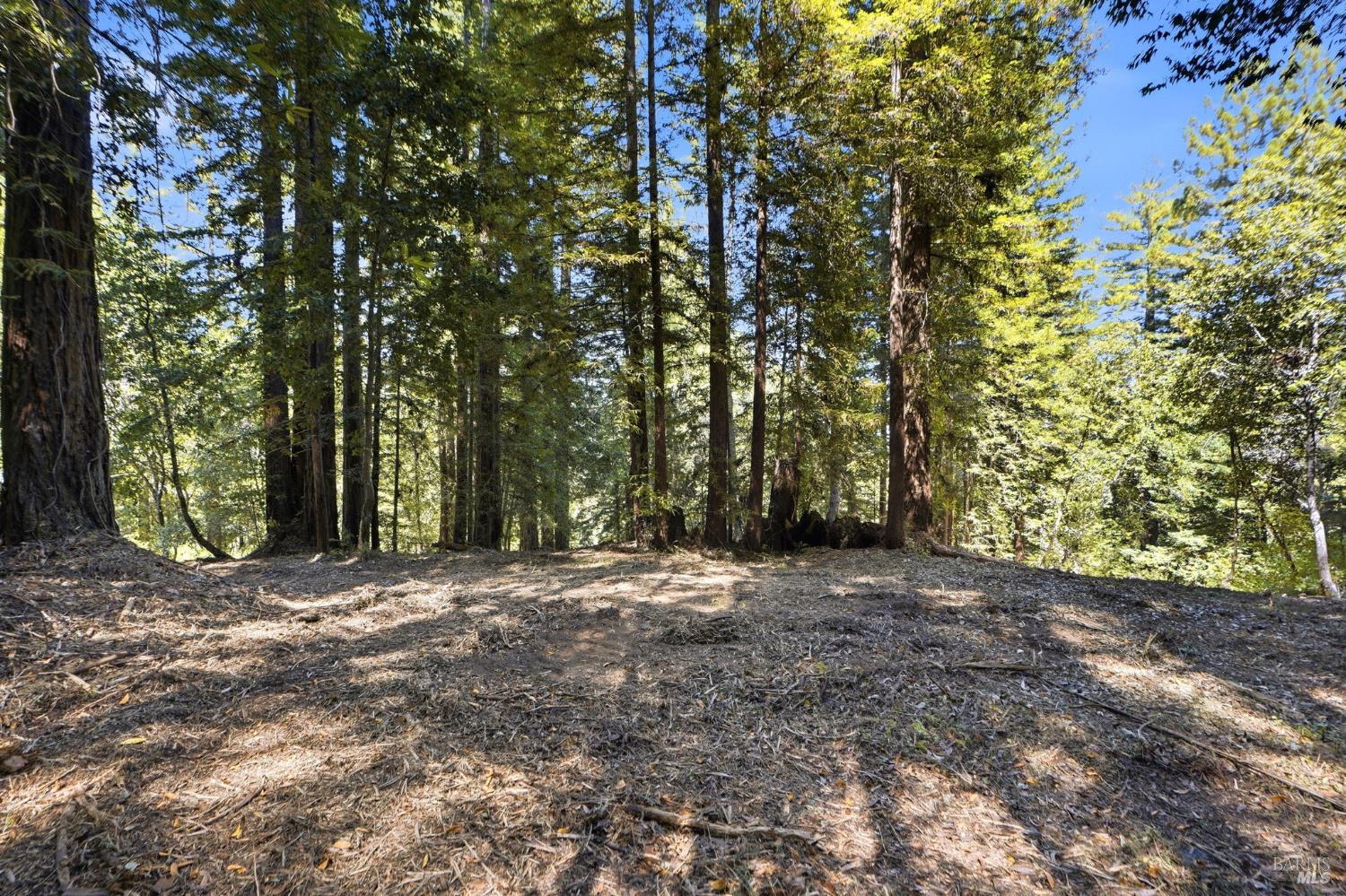 17554 Woods Avenue Guerneville CA 95446