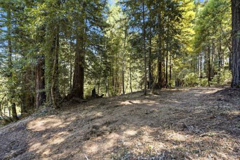 17554 Woods Avenue Guerneville CA 95446