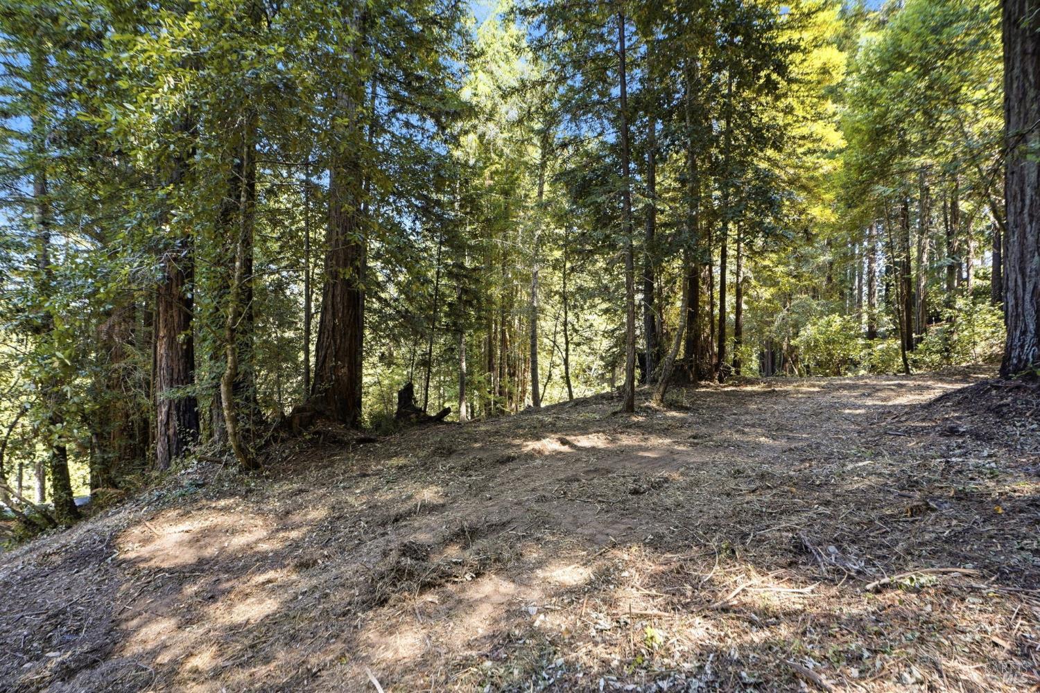 17554 Woods Avenue Guerneville CA 95446
