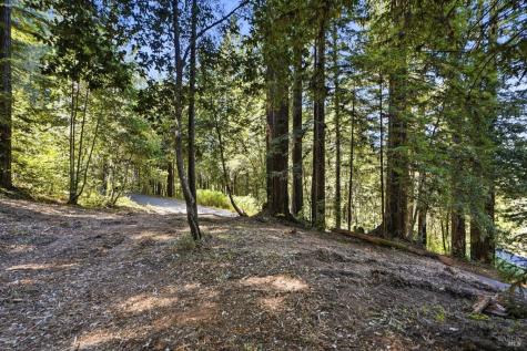 17554 Woods Avenue Guerneville CA 95446