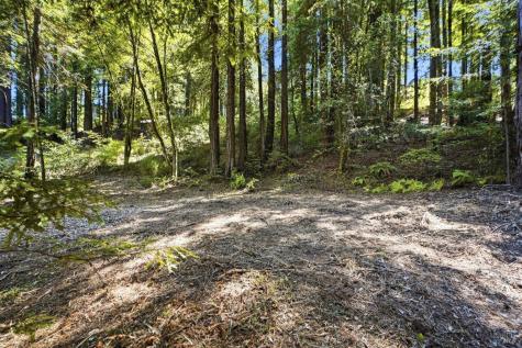 17554 Woods Avenue Guerneville CA 95446