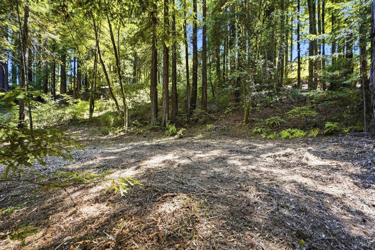 17554 Woods Avenue Guerneville CA 95446