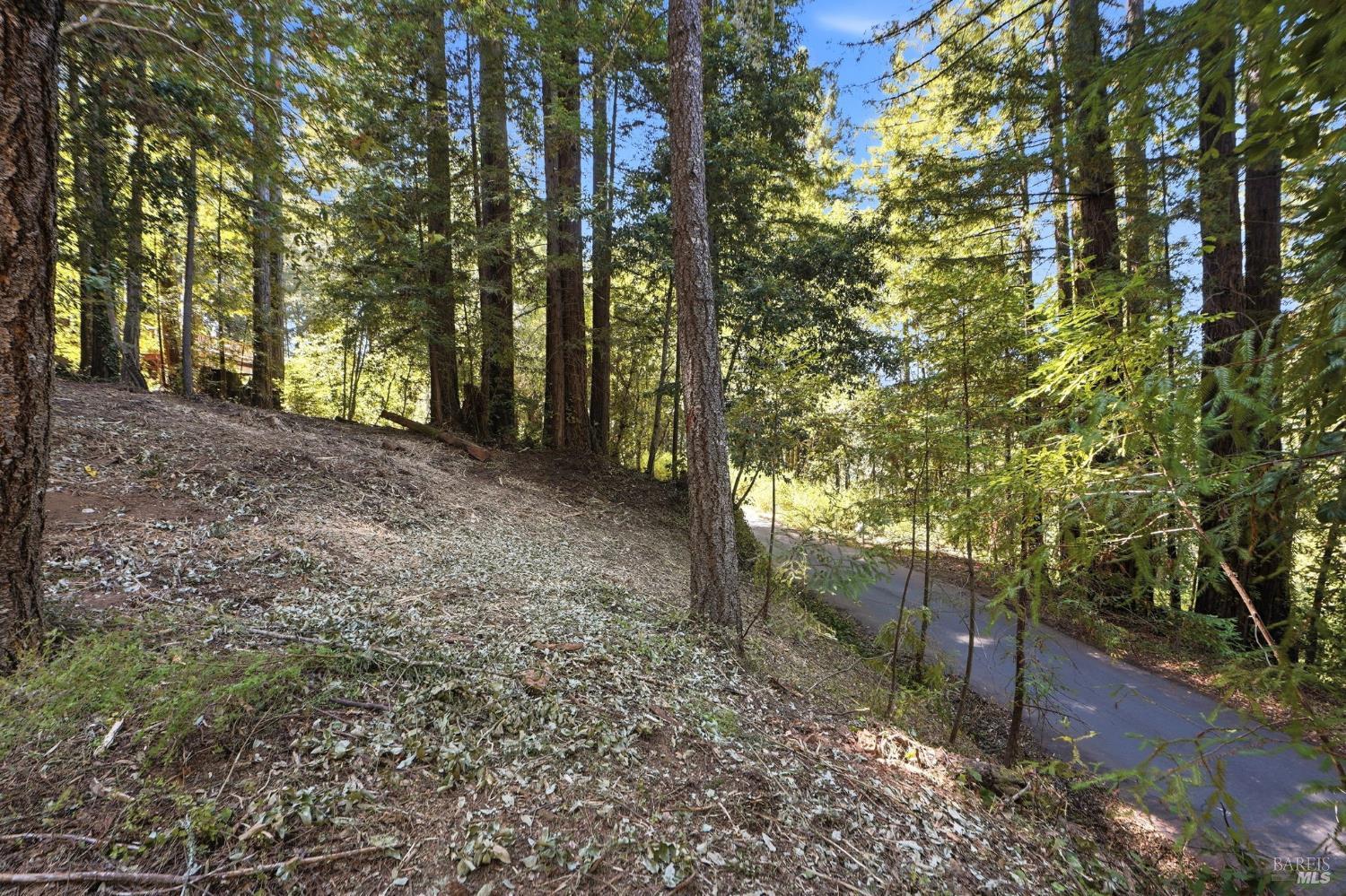 17554 Woods Avenue Guerneville CA 95446