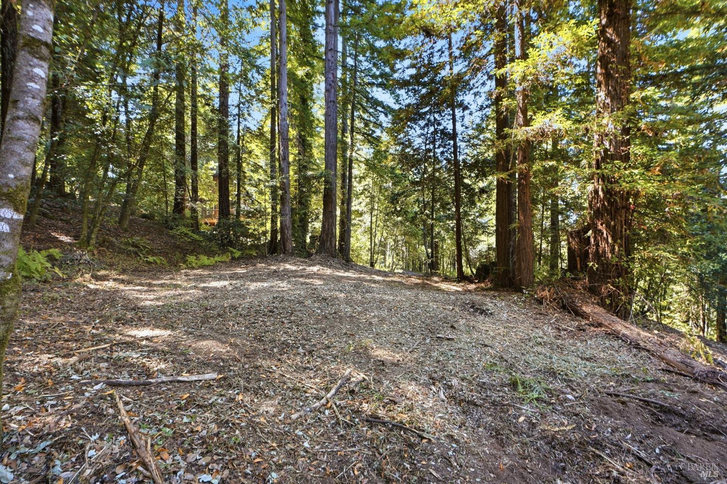 17554 Woods Avenue Guerneville CA 95446