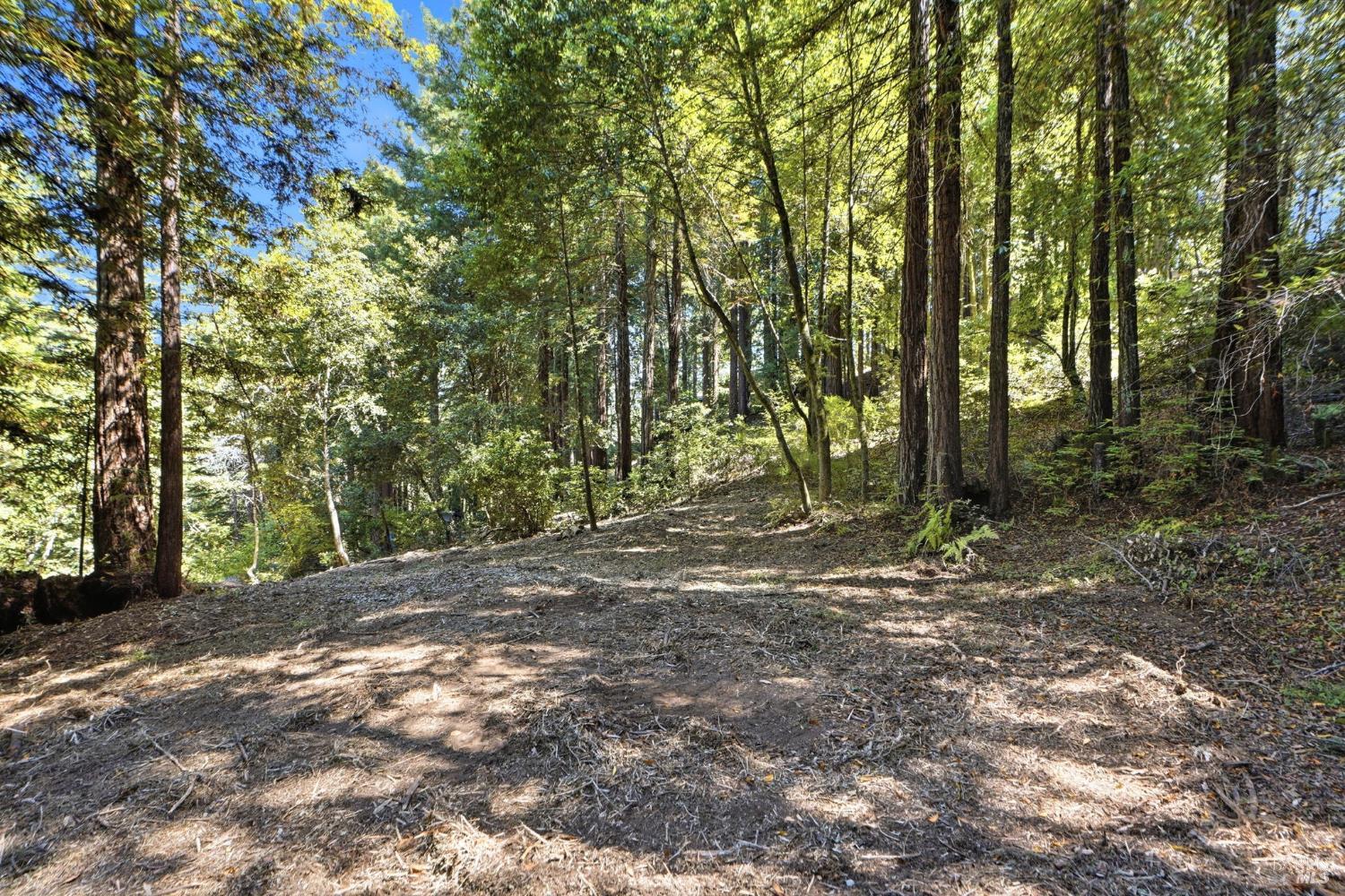 17554 Woods Avenue Guerneville CA 95446