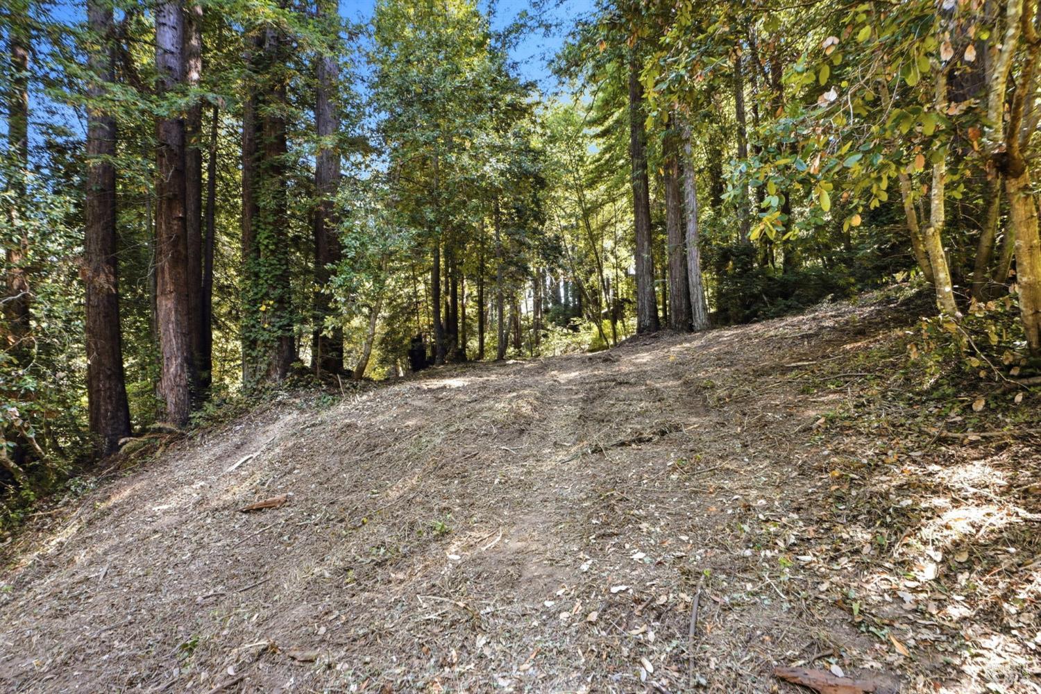 17554 Woods Avenue Guerneville CA 95446