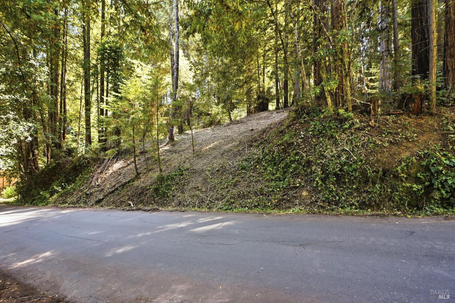 17554 Woods Avenue Guerneville CA 95446