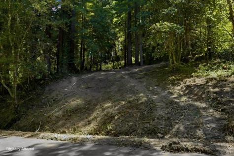 17554 Woods Avenue Guerneville CA 95446