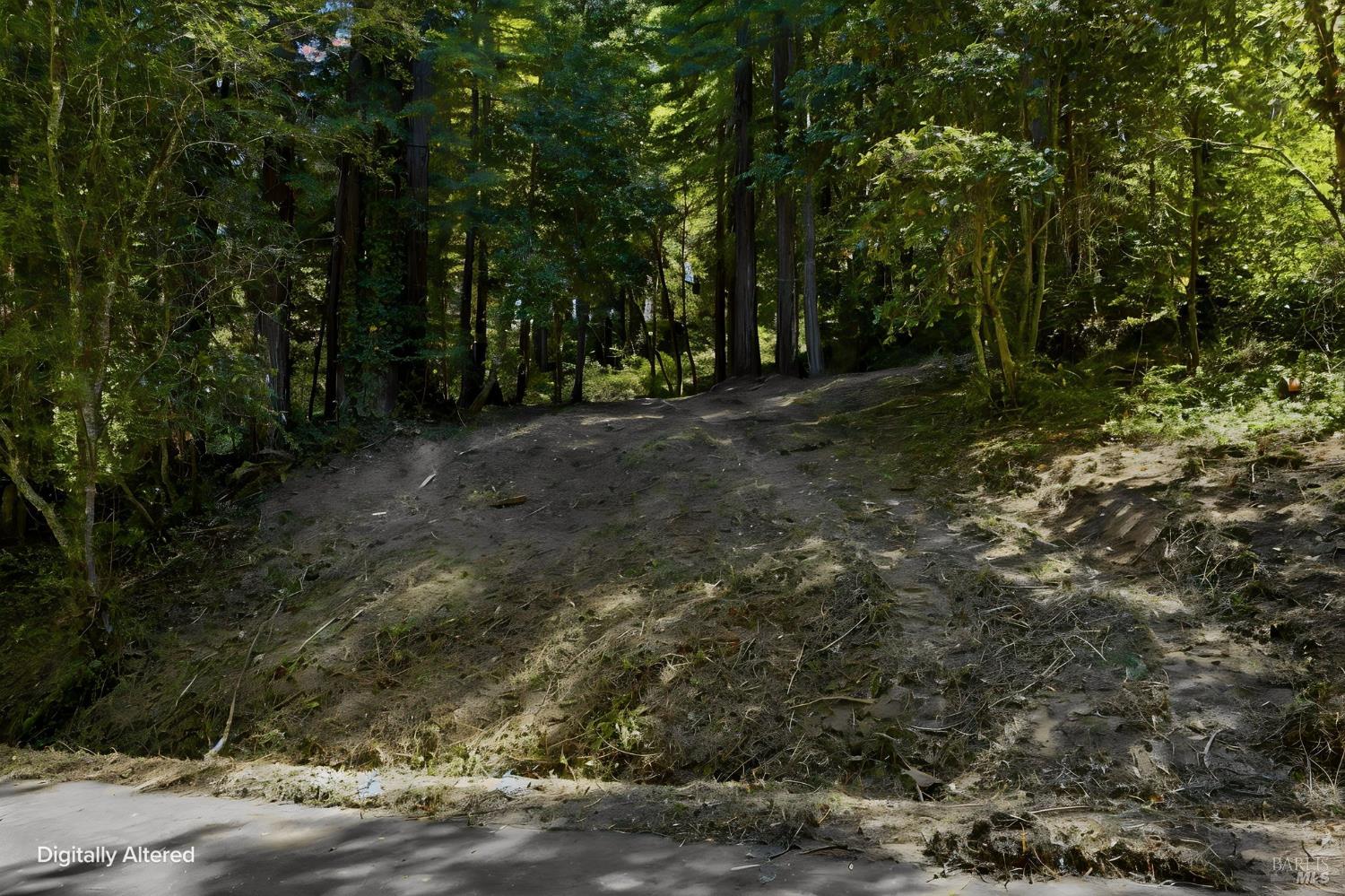17554 Woods Avenue Guerneville CA 95446