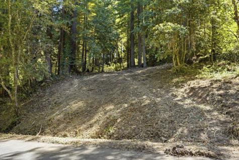 17554 Woods Avenue Guerneville CA 95446