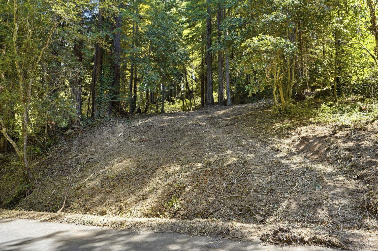 17554 Woods Avenue Guerneville CA 95446