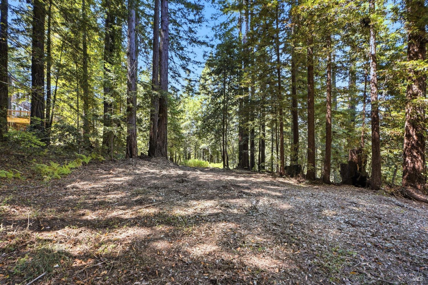 17554 Woods Avenue Guerneville CA 95446