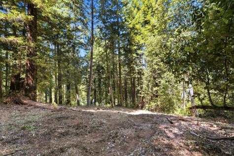 17554 Woods Avenue Guerneville CA 95446