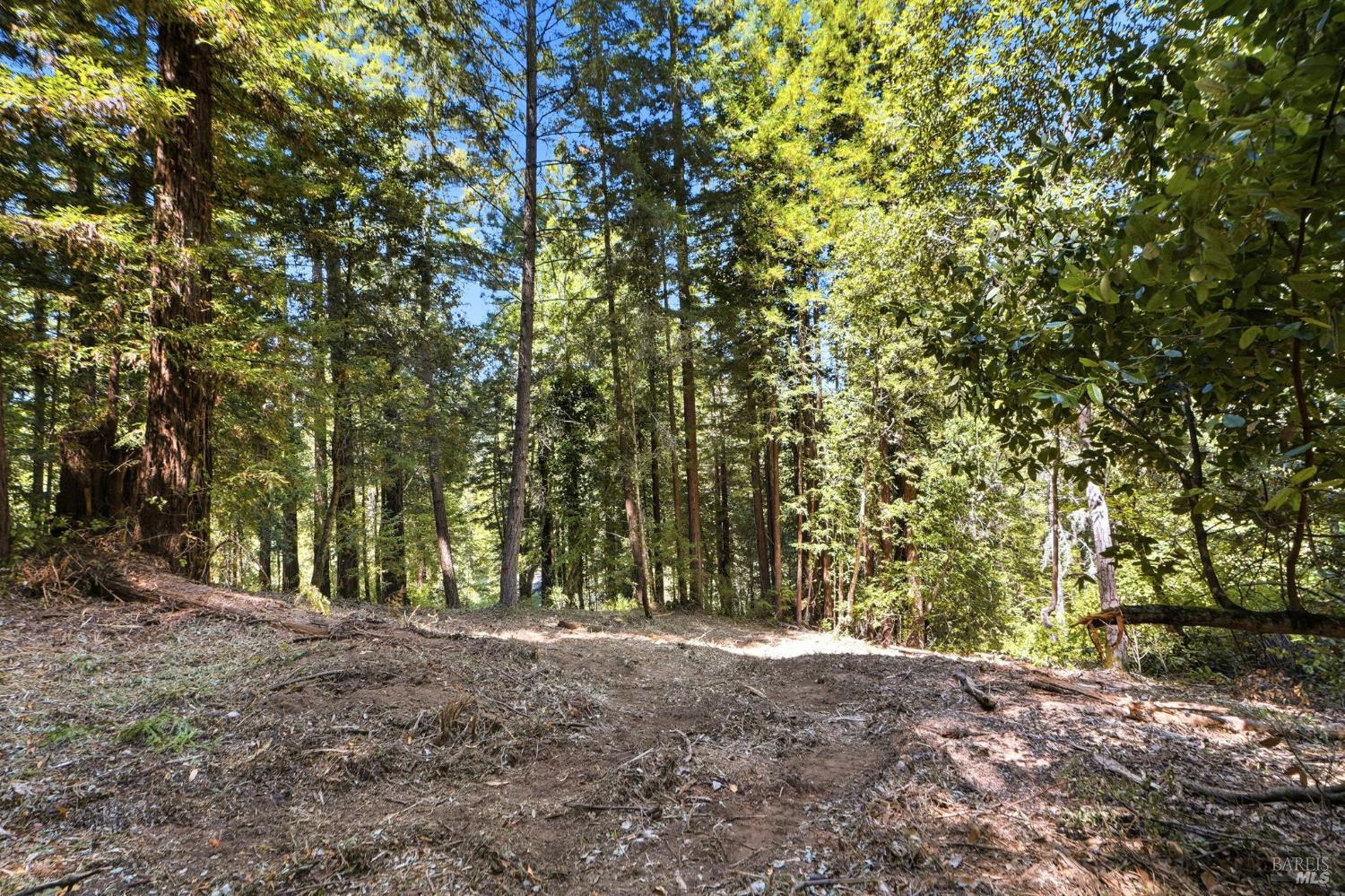 17554 Woods Avenue Guerneville CA 95446