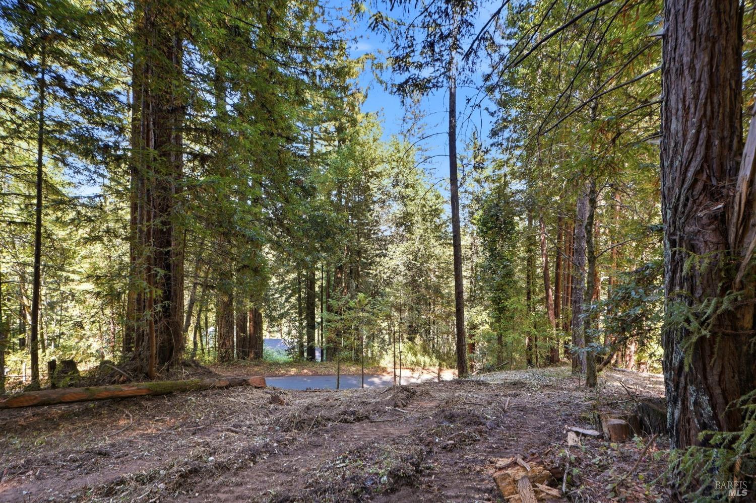 17554 Woods Avenue Guerneville CA 95446