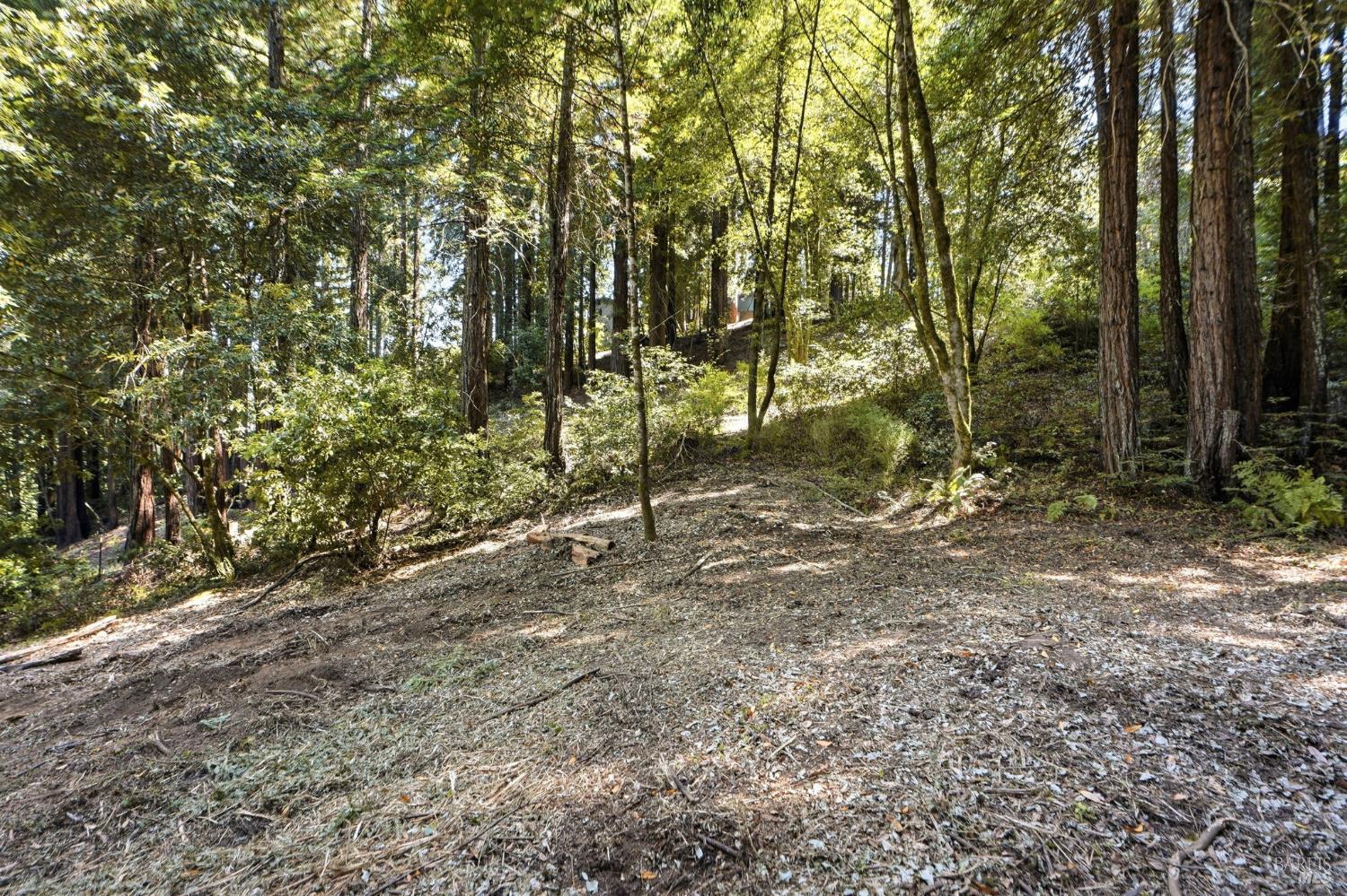 17554 Woods Avenue Guerneville CA 95446