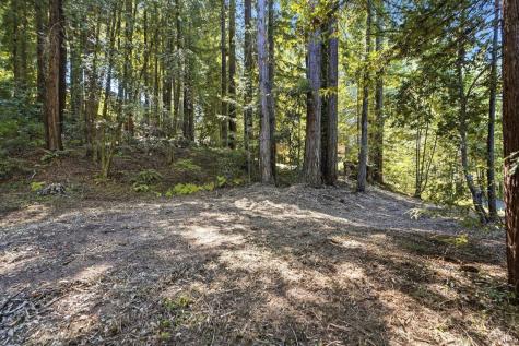 17554 Woods Avenue Guerneville CA 95446