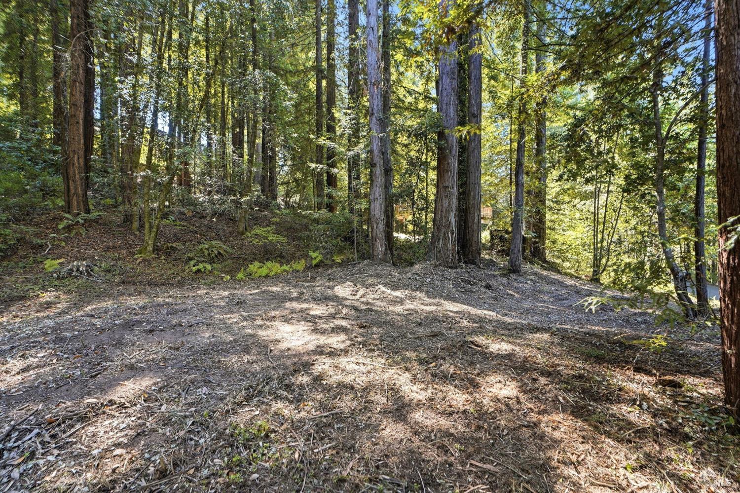 17554 Woods Avenue Guerneville CA 95446