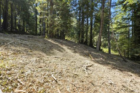 17554 Woods Avenue Guerneville CA 95446