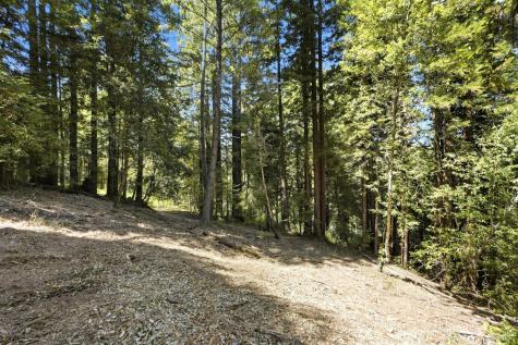 17554 Woods Avenue Guerneville CA 95446